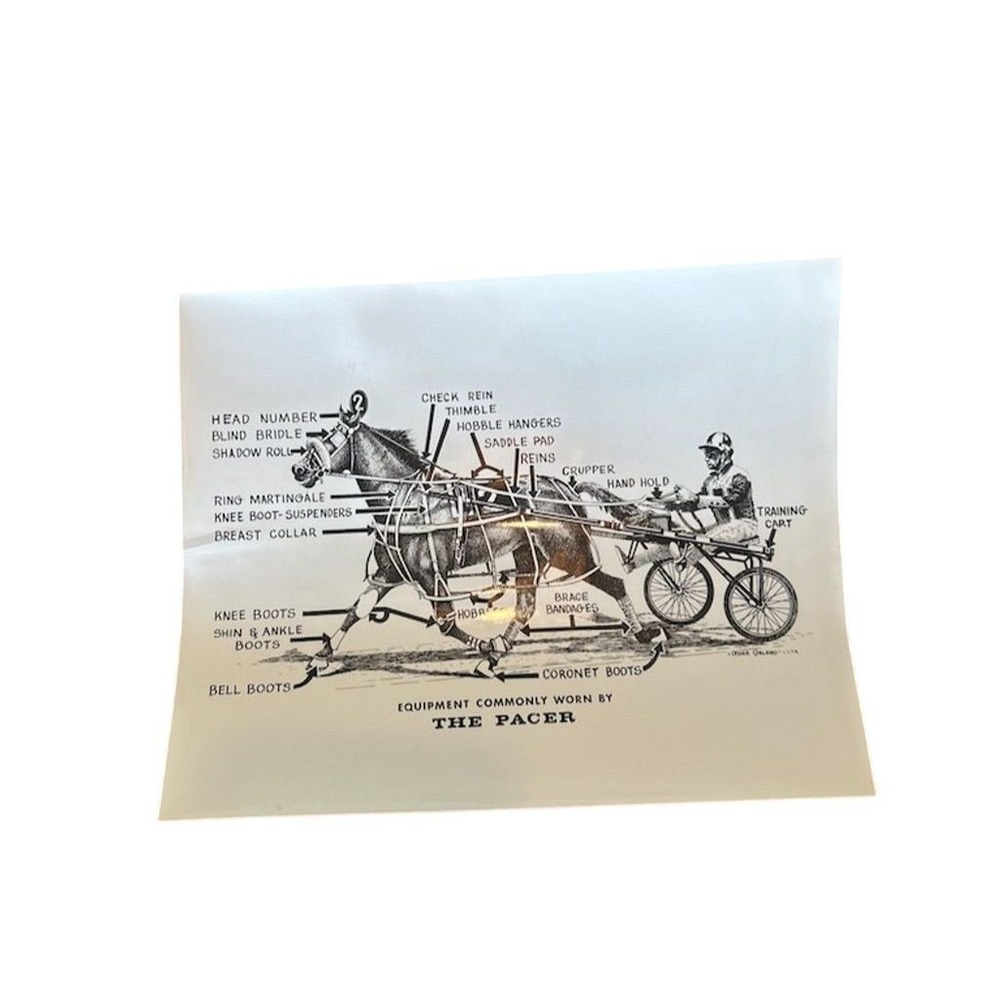 Vintage 1970s  "The Pacer" Horse Racing Equipment Diagram Print
